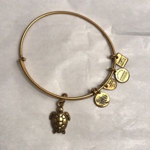Gold Alex and Ani turtle charm bracelet